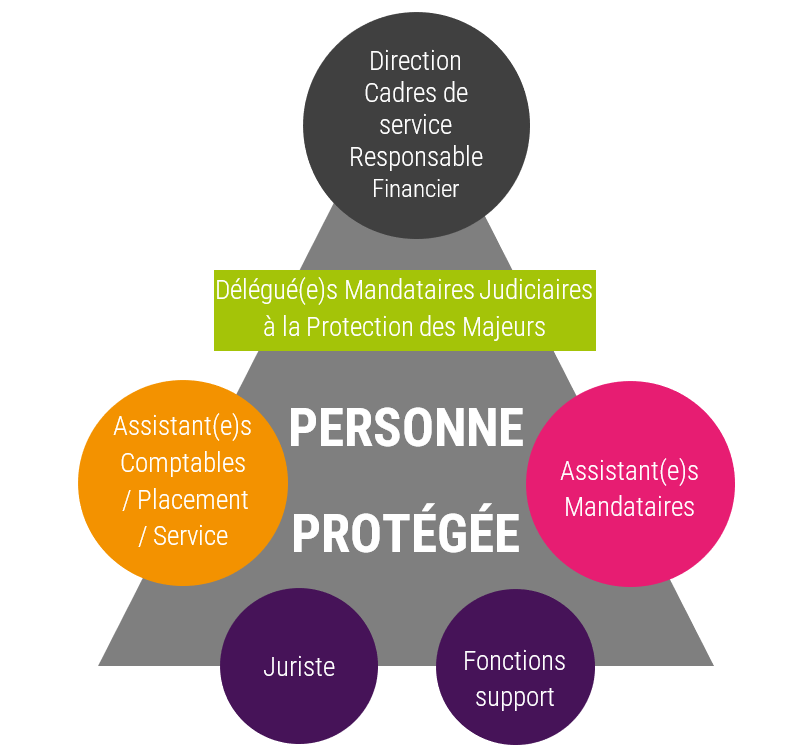 2024 _Organisation_Services